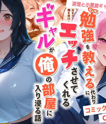 勉強を教える代わりにエッチをさせてくれるギャルが俺の部屋に入り浸る話 〜清楚と小悪魔ギャルの純愛編〜|夜の快楽-制服